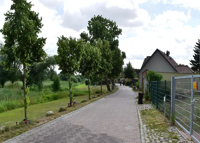 Backbord Im Zentrum Von *